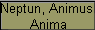 Neptun, Animus,
Anima