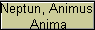 Neptun, Animus,
Anima
